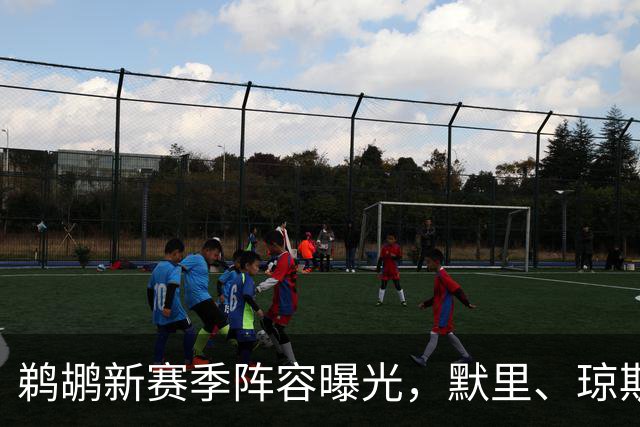 鹈鹕新赛季阵容曝光，默里、琼斯领衔首发！